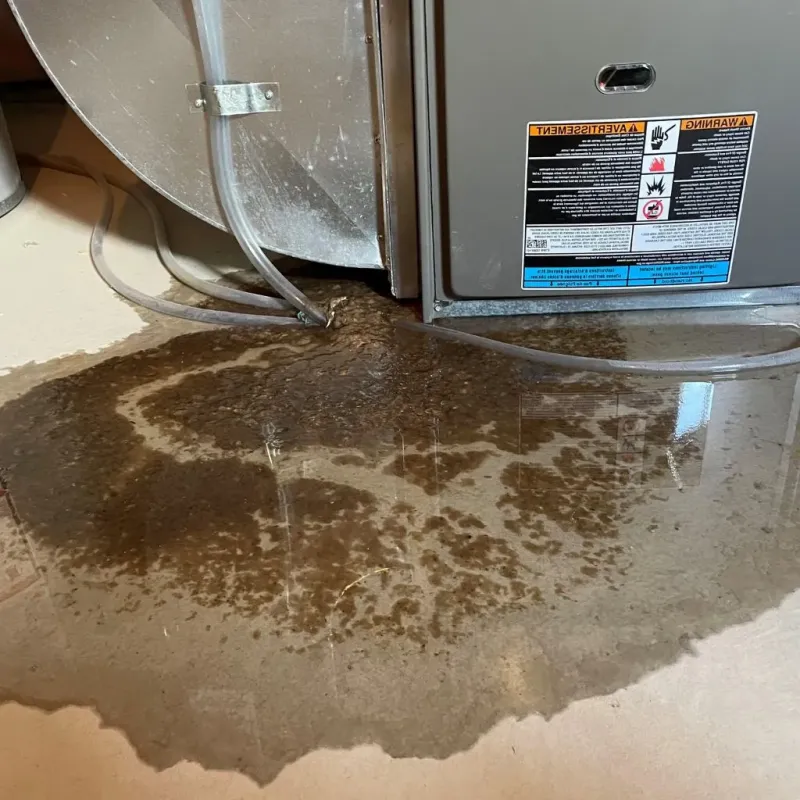 Pipe Burst and Leak Restoration in New Burlington, OH