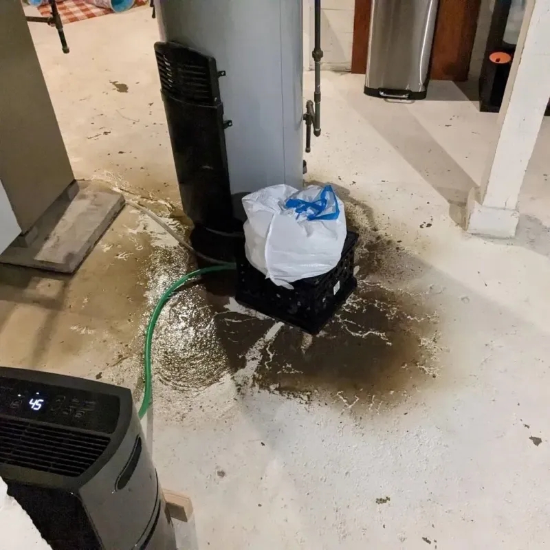Sewage Backup Cleanup Service in New Burlington, OH